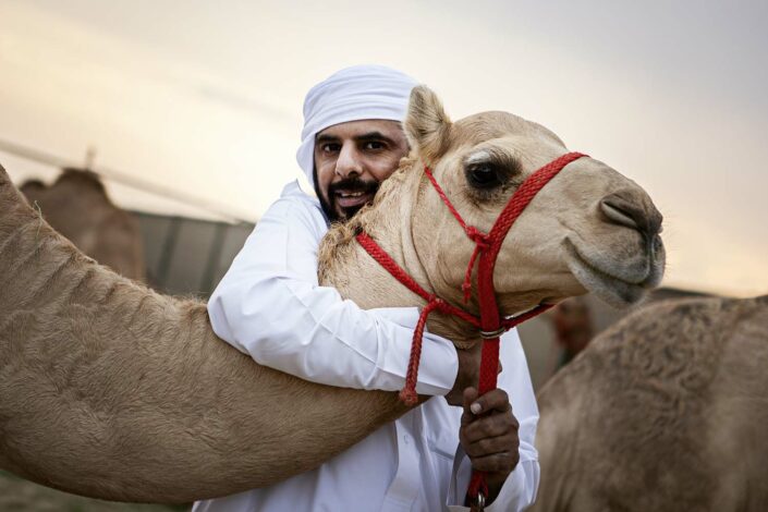 Camel farm in Bahrain